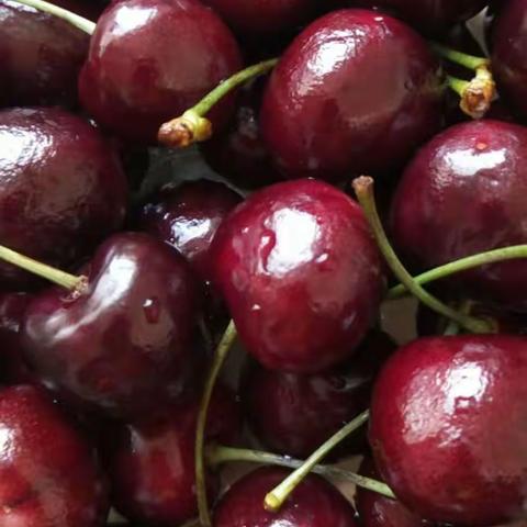 云淡风轻的美篇