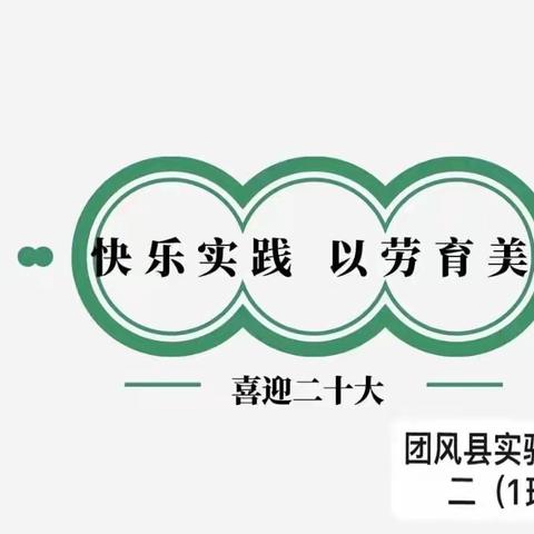 " 喜迎二十大 劳动颂祖国＂——团风县实验小学开展劳动实践周活动（二（1）班）