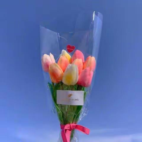 邵阳市启智听语康复中心祝所有母亲节日快乐