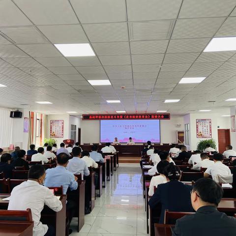 桑树坪镇组织召开扫黑除恶斗争暨《反有组织犯罪法》宣讲会
