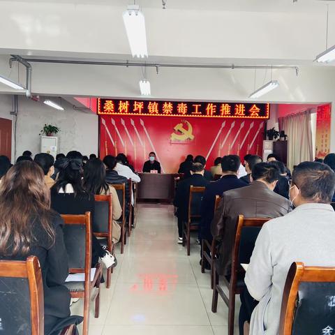 桑树坪镇召开禁种铲毒工作会议