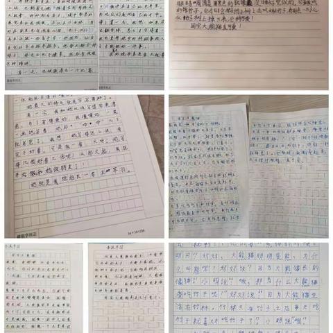 三年一班优秀习作展评