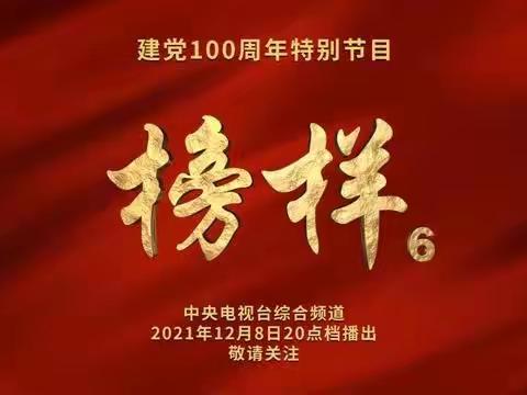 大新寨小学《榜样 6》收看情况