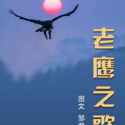 老鹰之歌（三、日本松雀鹰）
