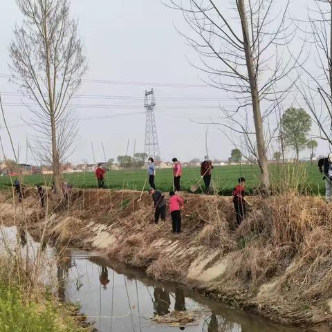 加强“四乱”清理整治，漳河店镇在行动