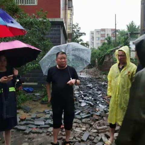 防汛一线党旗红，不忘初心耀党徽