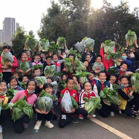 号外，号外——五（3）班开心农场收菜啦！！！