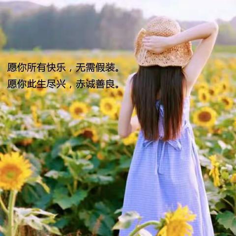 2019级8班🌻一路走来，向阳生长