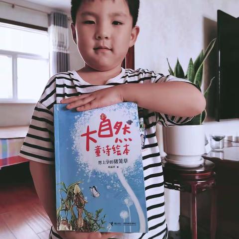 珍珍的美篇