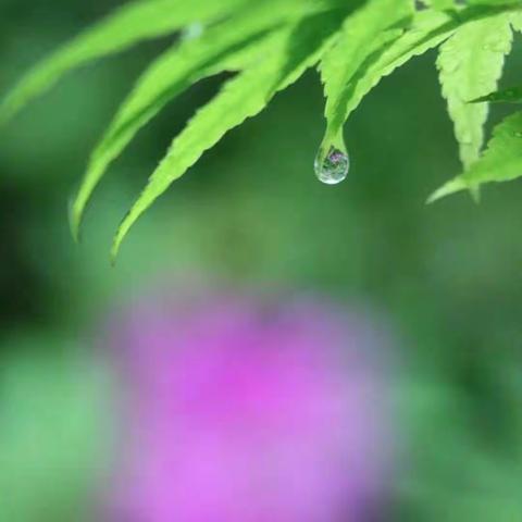缘子-国际物流的美篇