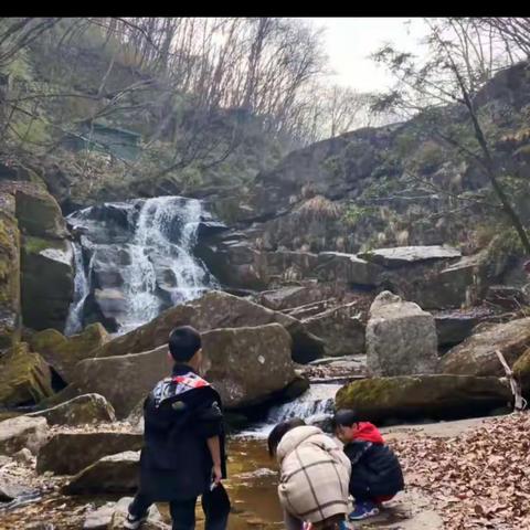 木王森林公园一日游——贾依依