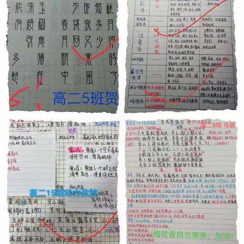 并肩“作”战 ，学“业”有成——高二年级优秀作业展