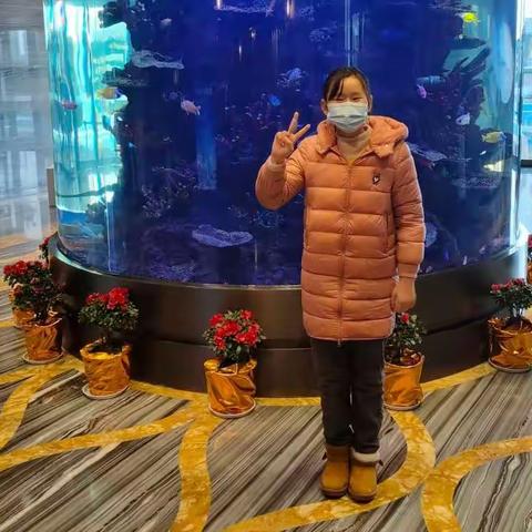 高于晶妈妈的美篇