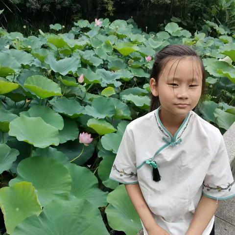 高于晶妈妈的美篇