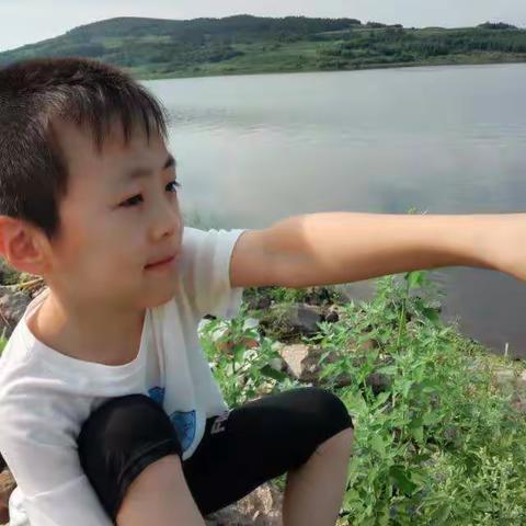 雪中桦林的美篇