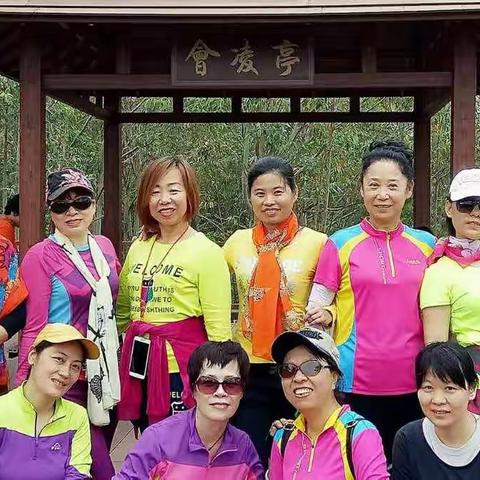 陵水海岸.红角岭赏木棉红