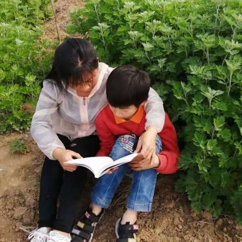 让书香溢满家园——三里河街道老臧庄小学停课不停学主题教育活动第九期