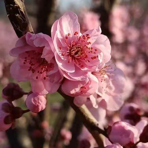 疫情期间给孩子和家长的话