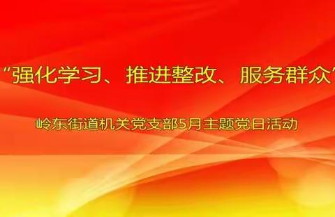 强化学习，推进整改，服务群众——岭东街道机关党支部5月主题党日活动