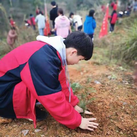 “播种绿色，放飞希望”涟源三中开展3.12植树节活动