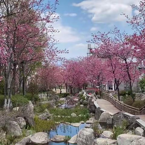 用“心”战“役” ，共盼春来【东方红幼儿园】疫情防控应急“模拟”演练纪实