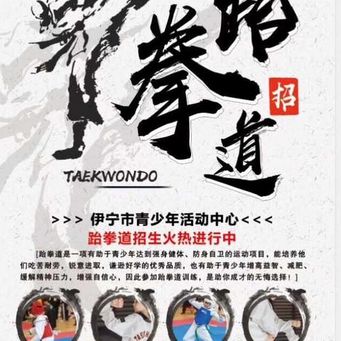 活动中心跆拳道假期班开始招生啦
