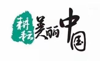 宁城支行开展“共筑诚信消费环境 提振金融消费信心”宣传活动