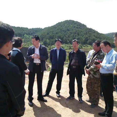 起步就是冲刺，开局就是决战 ———市人大副主任、县委李书记一行到南湖村调研指导工作