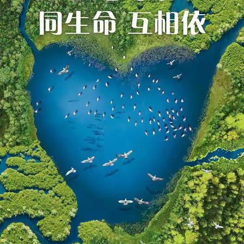 宣传湿地、保护湿地——青松管护区开展湿地保护活动
