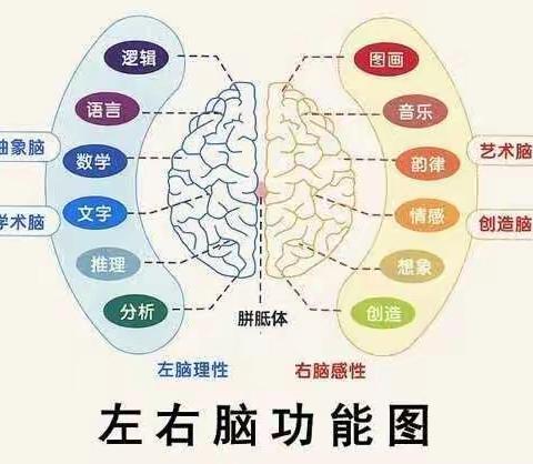 弘正教育理想分园中班右脑特色课程