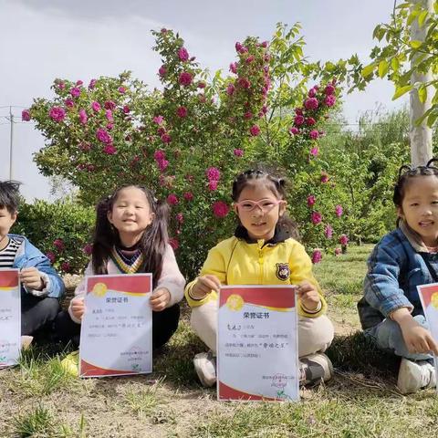 绿光幼儿园“小鬼当家”劳动小能手们颁奖咯！