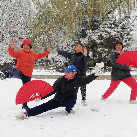 生研美景与雪中太极