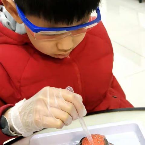 大家好我是池阳小学三年级一班的李祎宸，我正参加学校组织的微实践做中学活动
