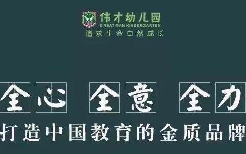 科达伟才幼儿园国际蒙氏C班学期末总结