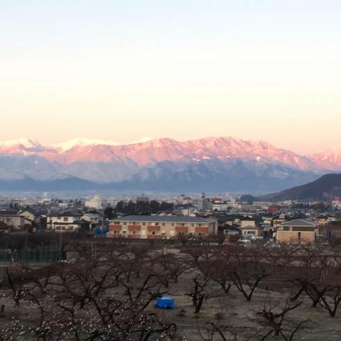 羲城中学日本研学第四日