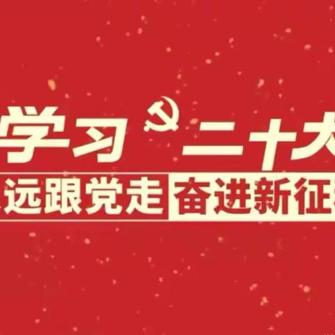 踔厉奋发跟党走，勇毅前行谱华章——龙泉中心小学认真传达学习贯彻党的二十大精神