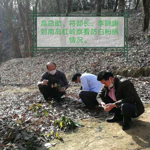 立才分公司“两病”防治工作进展简报