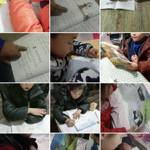 2020.1.30  今天你读书了吗？