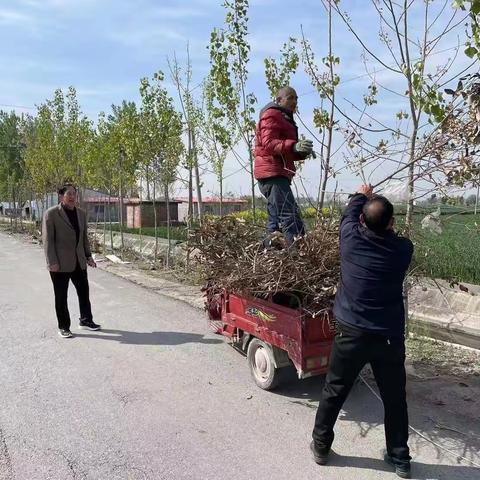 五里源村清洁行动‘清’出美丽画卷