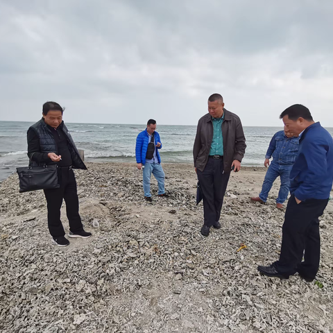 省林业局和铜鼓岭保护区管理处开展麒麟菜保护区琼海片区沿岸沙滩珊瑚碎屑堆积情况调查