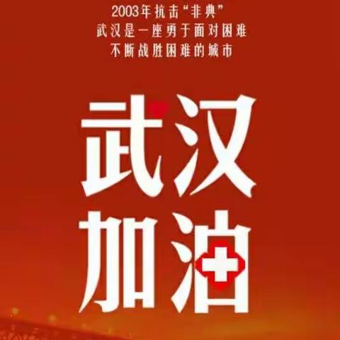 中国加油！武汉加油！这一关我们一起过！