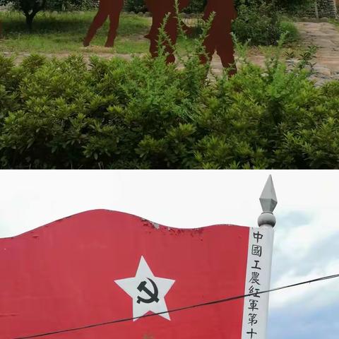 柳城小学四叶草中队2020暑期“小城故事”之莲芽儿学红色党史