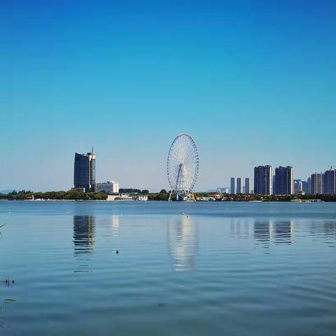 漫步长广溪湿地公园