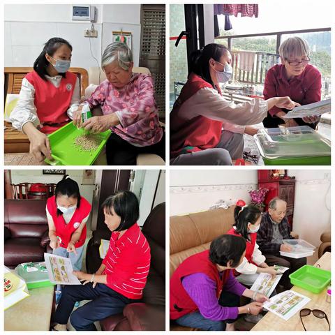长者巧种植·用绿色点亮生活