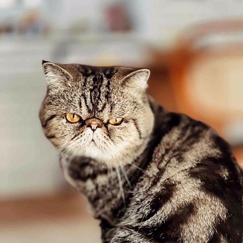 只要喜欢什么时候开始都不迟