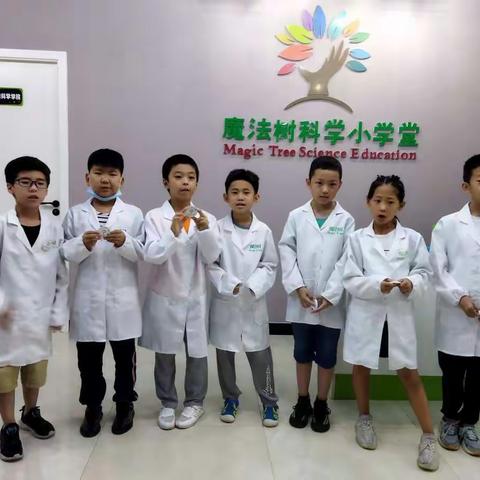 走进科学，快乐相伴 ——许昌实验小学二（6）中队假日小队活动