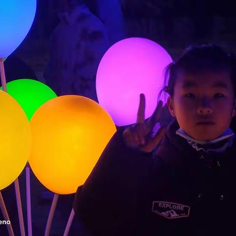 我的假期我做主《三3班杨锦阳寒假学习生活实践》