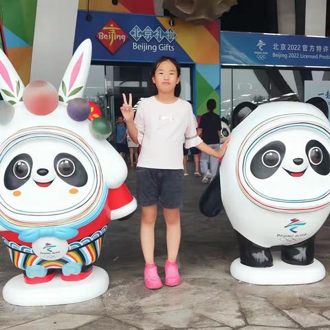 “我和北京有个约定”——记南苑街小学五年级（3）班杨锦阳暑期实践活动