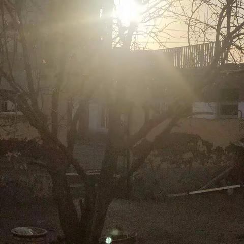 南苑街小学四(3)班杨锦阳寒假实践生活