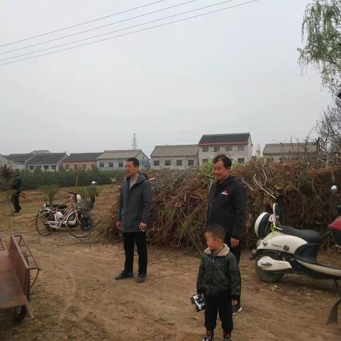千山抢抓生产建设    同心共建绿色陇州